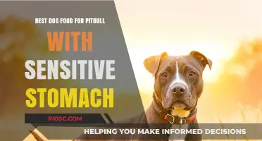 Gentle Nutrition: Top Dog Food Picks for Pitbulls with Sensitive Stomachs