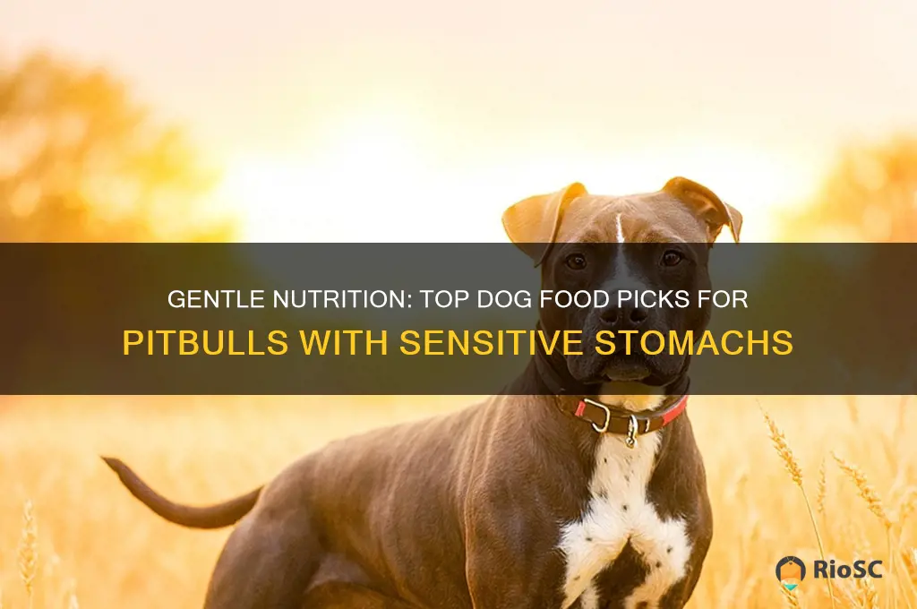 best dog food for pitbull with sensitive stomach