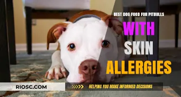 Soothing Solutions: Top Dog Food Picks for Pitbulls with Skin Allergies