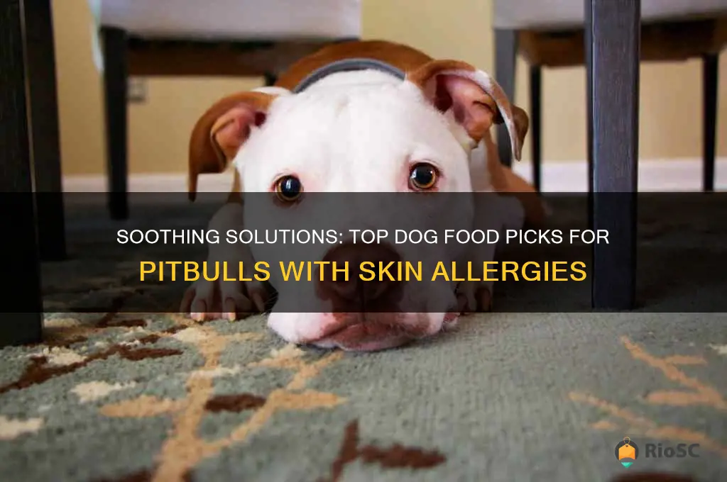 best dog food for pitbulls with skin allergies