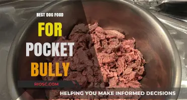 Top-Rated Dog Food Options to Fuel Your Pocket Bully's Health and Vitality
