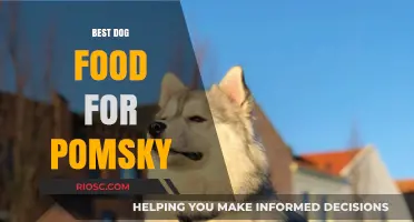 Top Nutritional Picks: Best Dog Food for Pomsky Health and Vitality