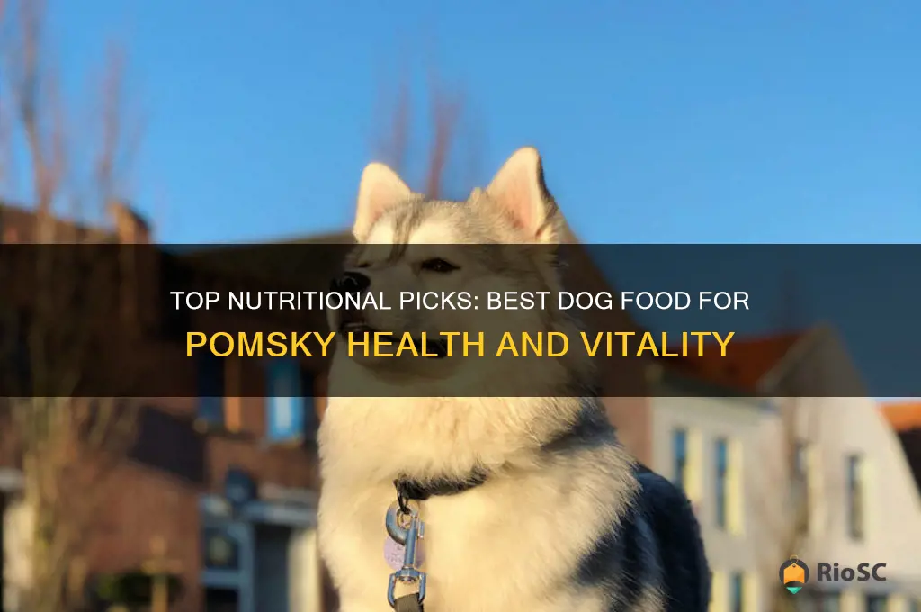 best dog food for pomsky