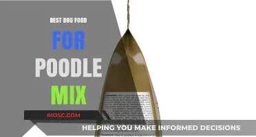 Top Nutritional Picks: Best Dog Food for Your Poodle Mix