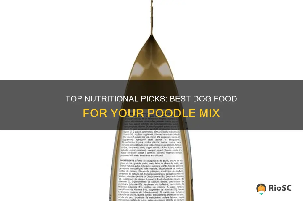 best dog food for poodle mix