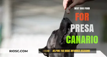 Nutrition Guide: Top Dog Food Recommendations for a Healthy and Strong Presa Canario
