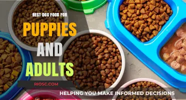 Nourishing Your Furry Friends: A Guide to the Best Dog Food for Puppies and Adults