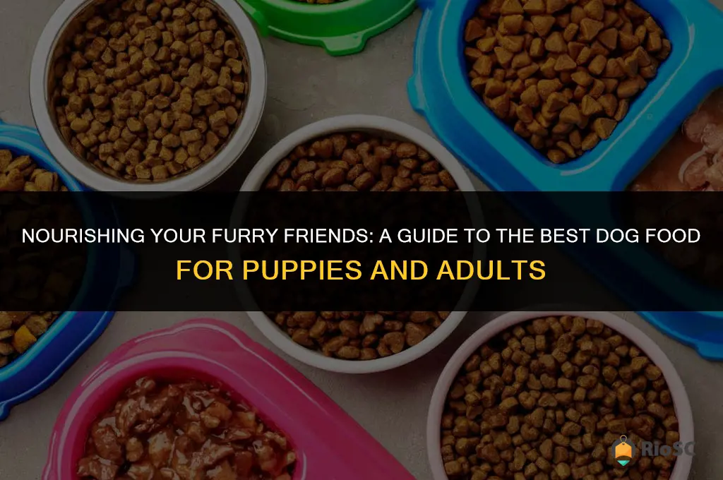 best dog food for puppies and adults