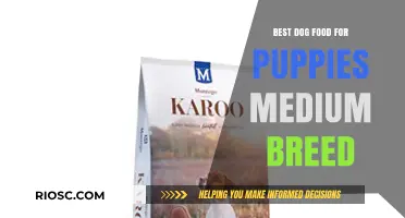 Top-Rated Puppy Food for Medium Breeds: Nourishing Your Growing Companion