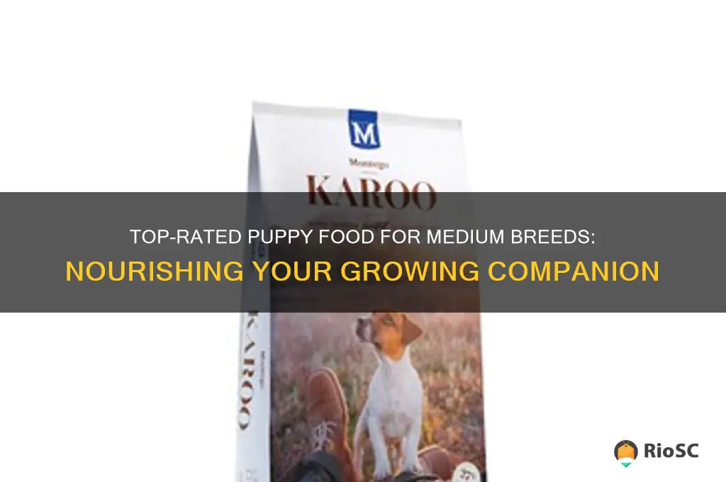 best dog food for puppies medium breed
