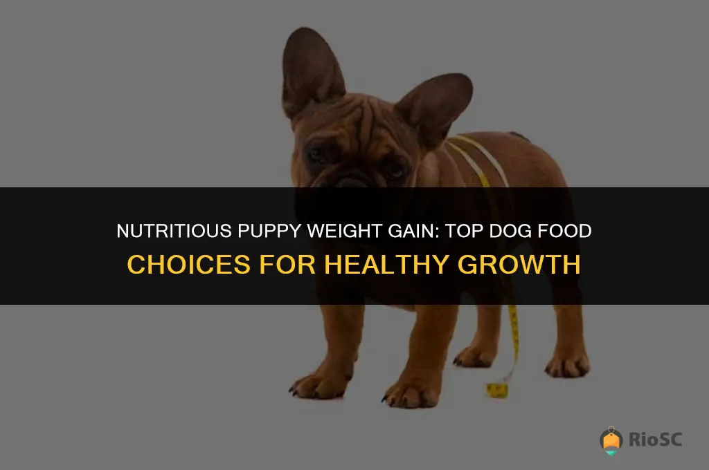 best dog food for puppies to gain weight