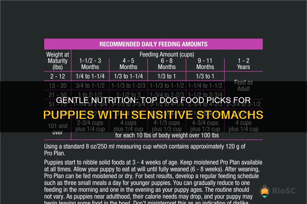best dog food for puppy with sensitive stomach