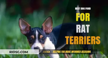 Nutritious and Delicious: Top Dog Food Picks for Your Rat Terrier's Optimal Health