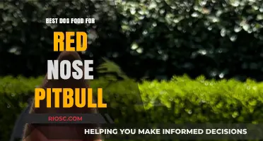 Top-Rated Dog Food Options to Fuel Your Red Nose Pitbull's Health and Vitality