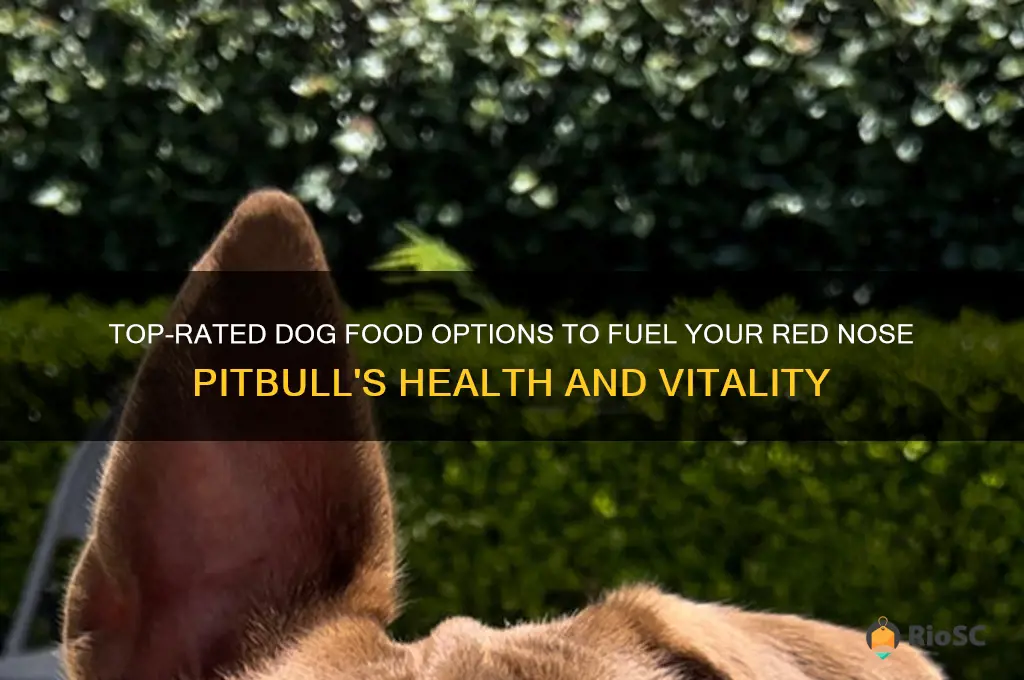 best dog food for red nose pitbull