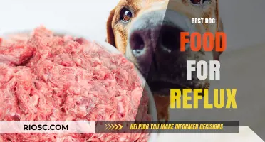 Soothing Your Dog's Stomach: Top Picks for Reflux-Friendly Dog Food