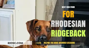 Nutritious and Delicious: Top Dog Food Recommendations for Your Rhodesian Ridgeback