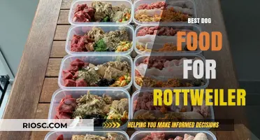Top-Rated Dog Food Options to Fuel Your Rottweiler's Health and Vitality