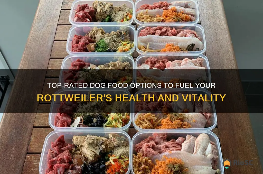 best dog food for rottweiler