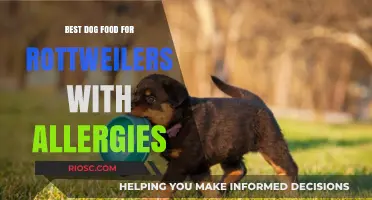 Hypoallergenic Dog Food Options for Rottweilers: Top Picks for Allergy Relief