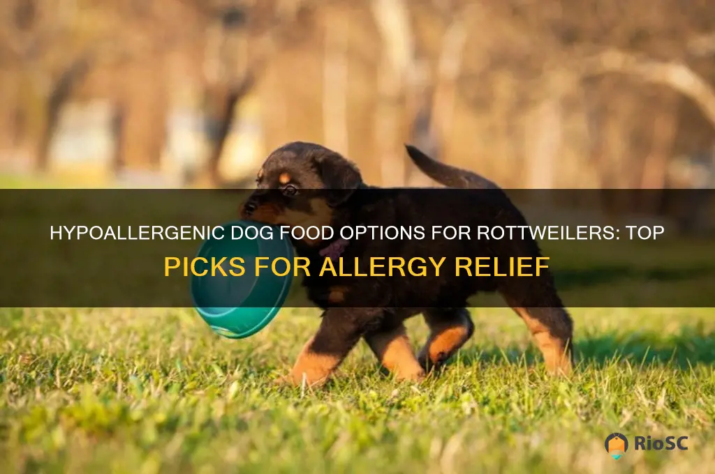 best dog food for rottweilers with allergies