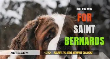 Nutritious and Delicious: Top Dog Food Recommendations for Saint Bernards