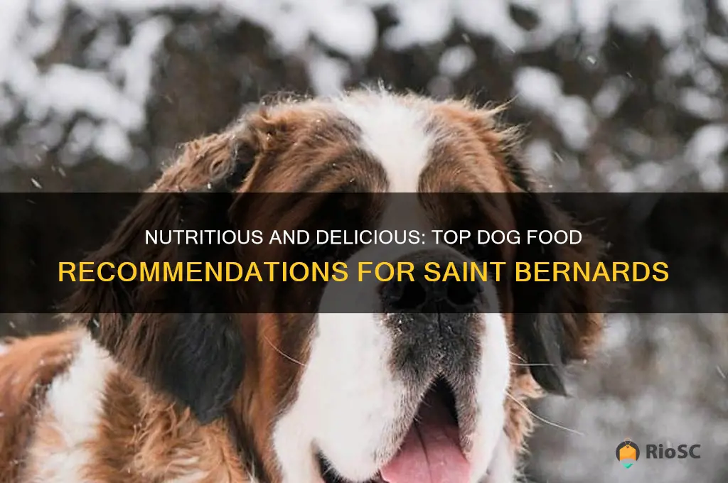 best dog food for saint bernards