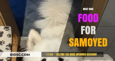 Nutritious and Delicious: Top Dog Food Recommendations for Your Samoyed's Health and Happiness