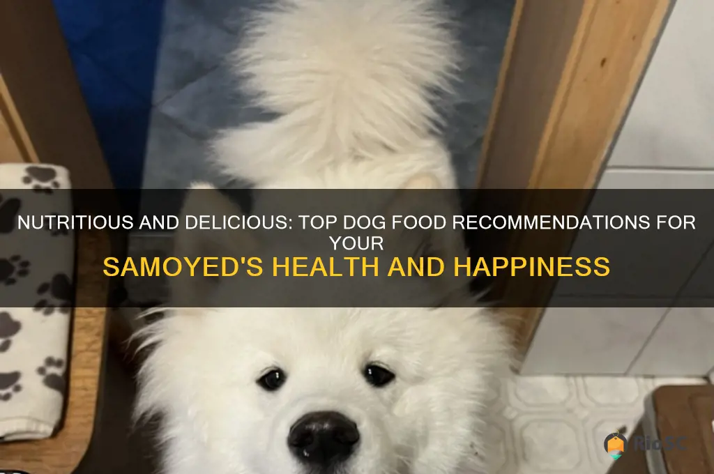 best dog food for samoyed