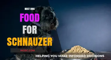 Top-Rated Dog Food Options to Keep Your Schnauzer Healthy and Happy