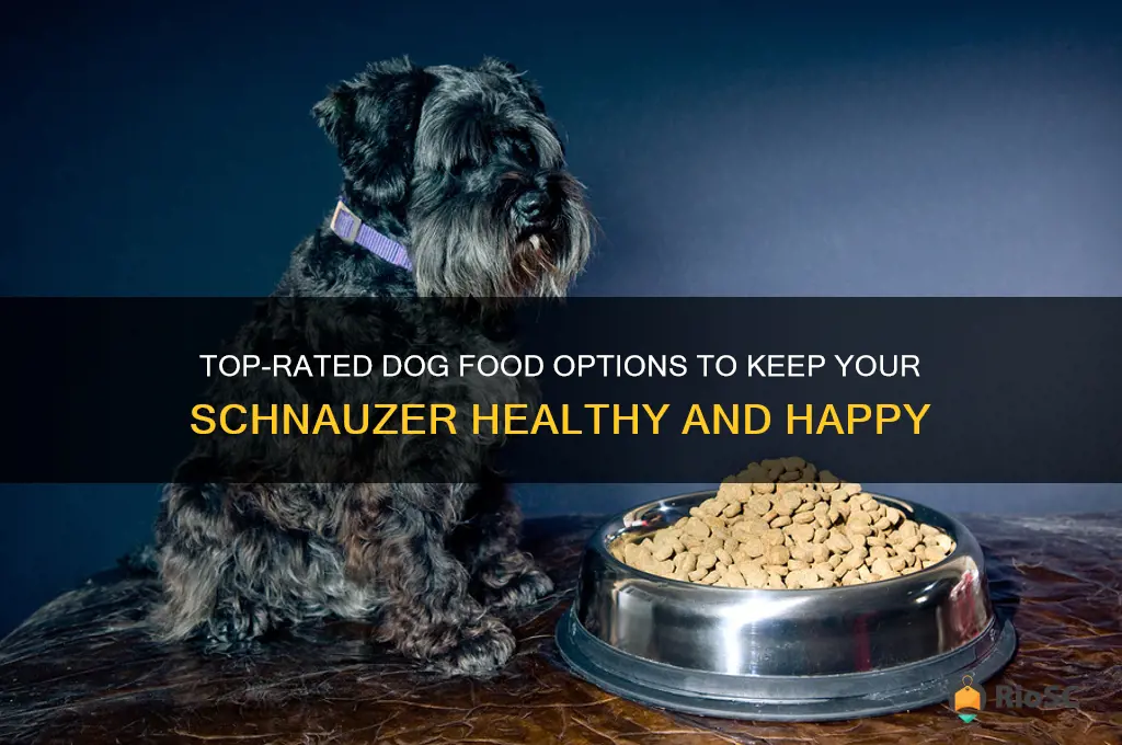 best dog food for schnauzer