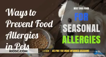 Top Dog Food Options to Combat Seasonal Allergies and Keep Your Pup Healthy