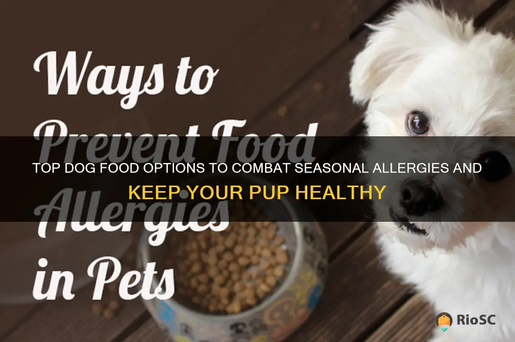 best dog food for seasonal allergies