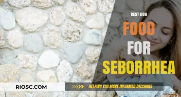 Top Dog Food Choices to Combat Seborrhea: Nourish Your Pet’s Skin and Coat