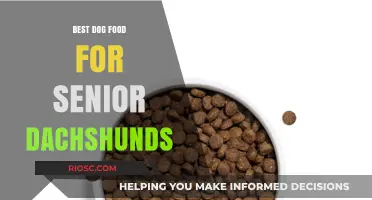 Nutritious and Tailored: The Ultimate Guide to Choosing the Best Dog Food for Senior Dachshunds