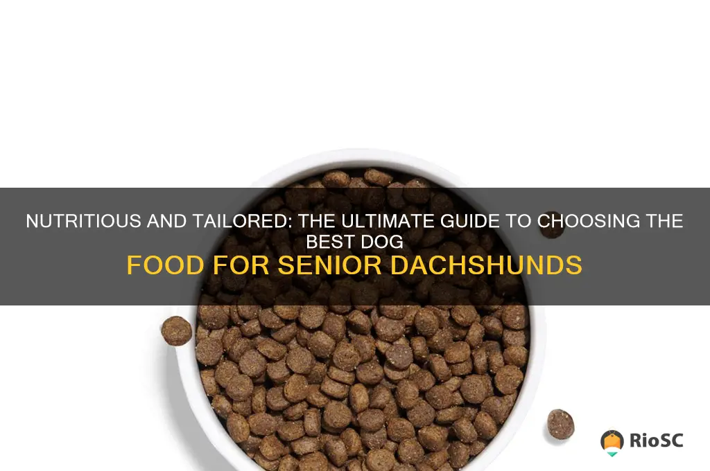 best dog food for senior dachshunds