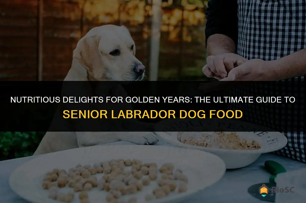 best dog food for senior labrador