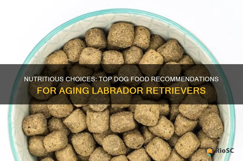 best dog food for senior labs