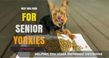 Nutritious and Delicious: Top Dog Food Picks for Aging Yorkshire Terriers