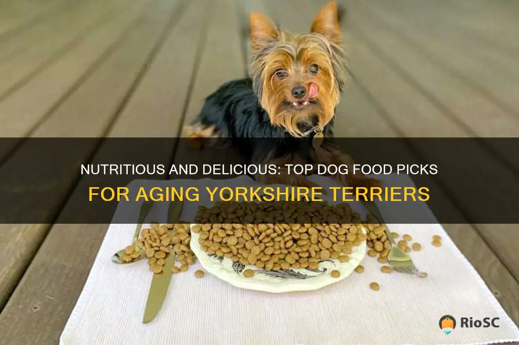 best dog food for senior yorkies