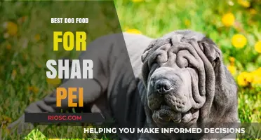 Top Nutritional Picks: Best Dog Food for Shar Pei Health and Well-Being