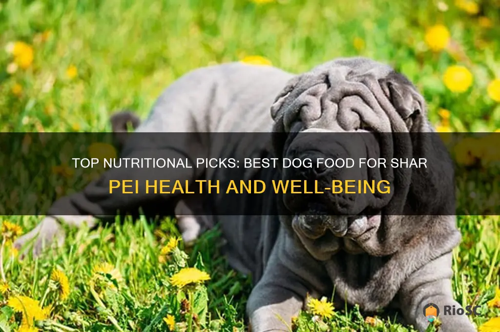 best dog food for shar pei