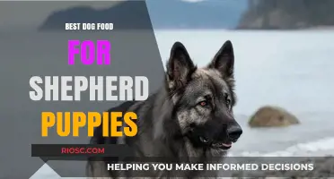 Nutritious and Delicious: Top Dog Food Choices for Shepherd Puppies