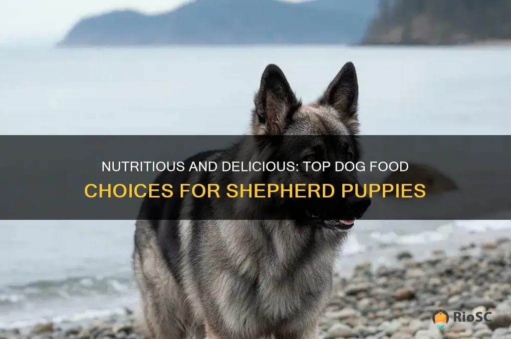 best dog food for shepherd puppies
