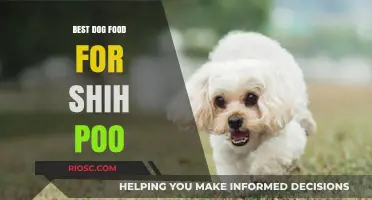Top Nutritional Picks: Best Dog Food for Your Shih Poo's Health and Happiness
