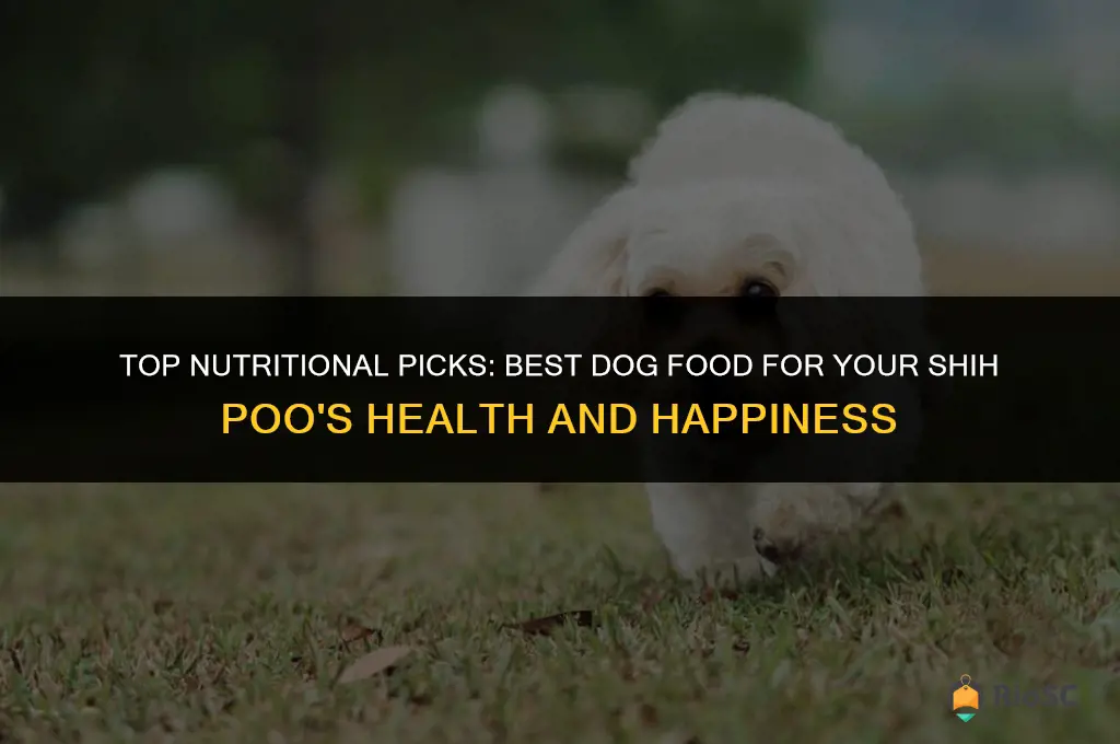 best dog food for shih poo