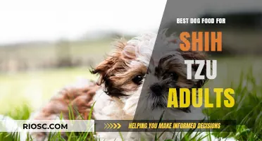 Nutritious and Delicious: Top Dog Food Picks for Adult Shih Tzus