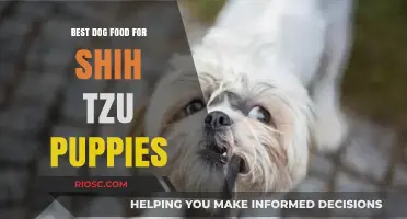 Nutritious and Delicious: Top Dog Food Picks for Your Shih Tzu Puppy's Healthy Growth