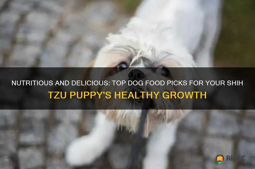 best dog food for shih tzu puppies