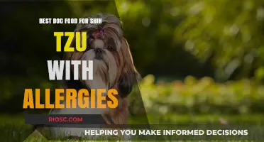 Hypoallergenic Dog Food for Shih Tzus: Top Picks to Soothe Allergies and Promote Health